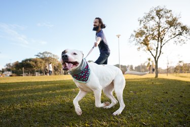 Dog and owner running at the park