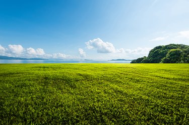 Outdoor grassland