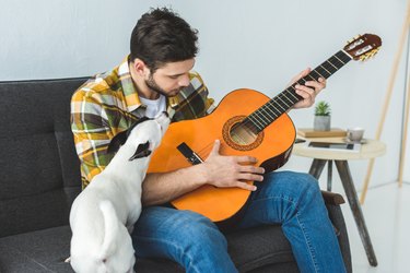 handsome man playing on acoustic guitar and sitting on sofa with dog