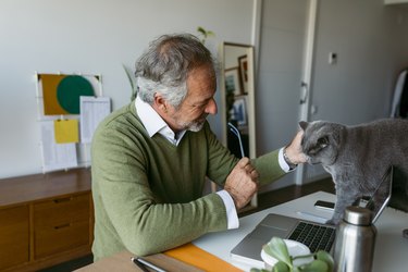 Mature man with domestic cat using laptop while sitting at home