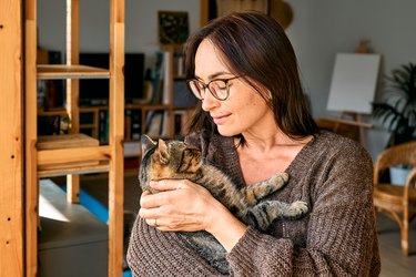Woman Hugging Cute Tabby Cat Indoors