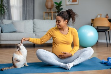 Happy glad young pregnant african american female with big belly practices yoga interior and plays with cat
