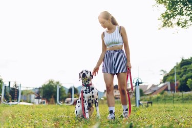 Young female playing with Dalmatian dog.