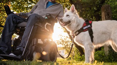 Man with disability and service dog.