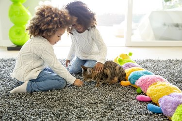 Ethnic kid girls playing with cat