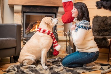 A golden labrador retriever in a Christmas scarf lies with a middle-aged Asian woman on a blanket in front of a fireplace in a country house.