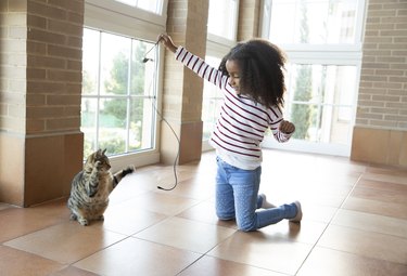 Kid girl playing with cat holding cable