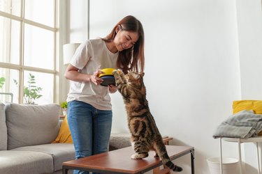 Woman feeding a cat at home.