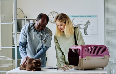 Woman with her pet visiting vet doctor