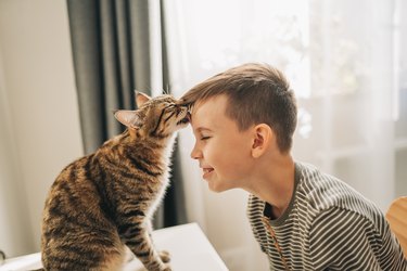 Relationship between boy and cat. Close-up. Boy loving his domestic bengal cat so much. Cat's paw on child's face. Animal and its owner looking into each other's eyes.