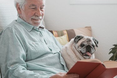 Portrait of old pug dog sitting on sofa at home with his senior owner reading a book. Best friend and pet therapy concept