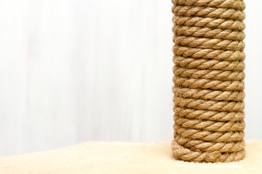 at tree and furniture, sisal rope cat scratching post on beige carpet on white background. Copy space
