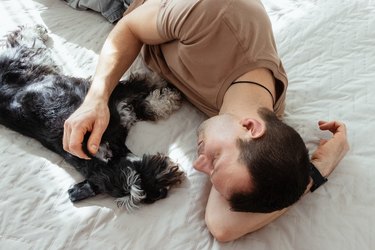 Man and a small dog are lying together on the bed in the bedroom