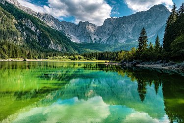 Lake with algae