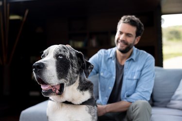 Happy man relaxing at home with his dog