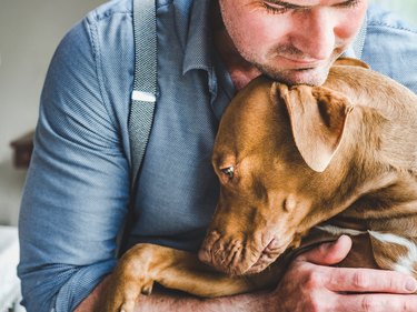 Handsome man and a charming puppy. Close-up