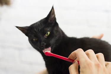 Tasting the Toothpaste