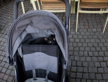 A black cat inside a gray stroller while at a restaurant.