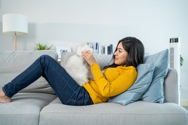 Asian woman holding and play with little cat with happiness at home. Attractive beautiful female sit on sofa, spend leisure free time and talk with her pet animal with gentle in living room in house.