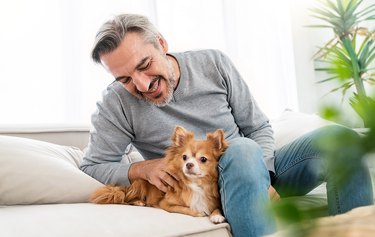 Portrait of senior old caucasian man stay home sit on the sofa  living room with lovely dog. Happy moment of pure love middle age male playing with little dog in winter