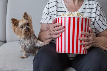 Crop elderly woman with popcorn bucket resting on sofa with cute pet
