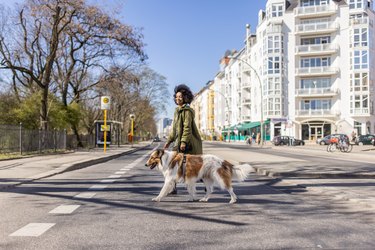 Woman crossing the street in a city with her pet collie.