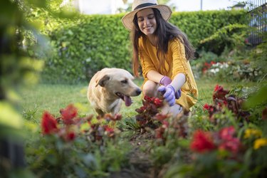 Smiling woman gardening and having fun with her dog