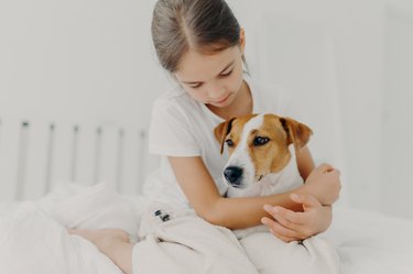 Cropped image of caring little girl in white t shirt, cuddles small pedigree dog, expresses big love to animal, poses on bed in white room, enjoys domestic atmosphere. Child with favourite pet