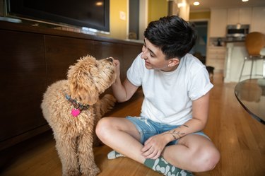 Golden Doodle Puppy is being trained by his gender non conforming owner