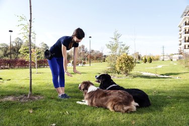 Two dogs being trained by a woman in their neighborhood.