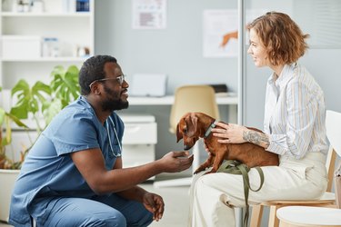 Happy young pet owner consulting with African-American male veterinarian