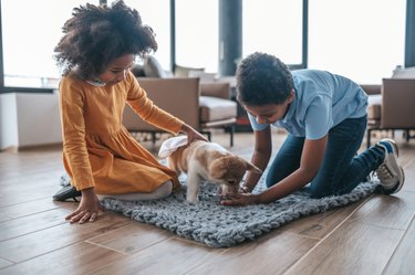 Kids and the dog playing together on the floor