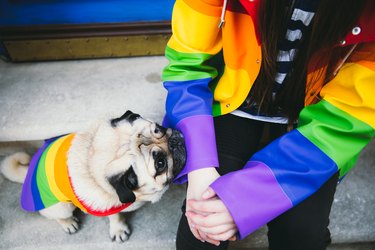 Close up view of a woman and her dog in rainbow coats enjoying the springtime in the old city