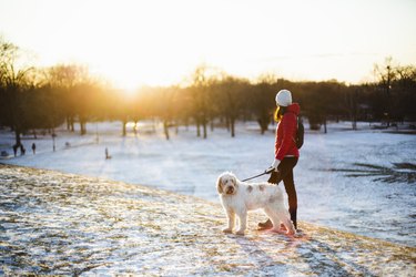 Woman with her dog at sunset