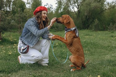 Woman treating Rhodesian Ridgeback during obedience training in nature