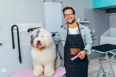Man and a dog at a dog groomer salon