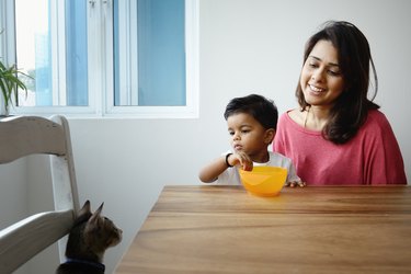 Mom and son looking at a pet cat during snack time