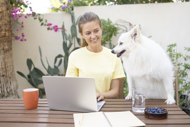 woman working on computer with dog at table in garden