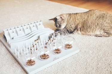Entertaining, mental challenges game for cat, can be used for daily feeding with dry food.