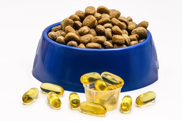 bowl of pet food with omega 3, vitamin for domestic animals that makes the fur beautiful, healthier food based on fish oil, isolated white background