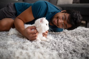 Petting Cat on Rug