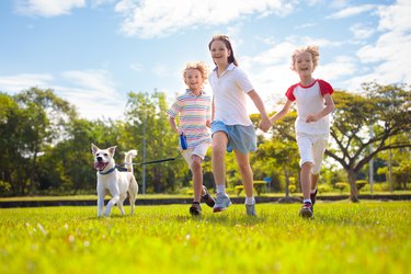 Kids play with dog. Children and puppy run in park