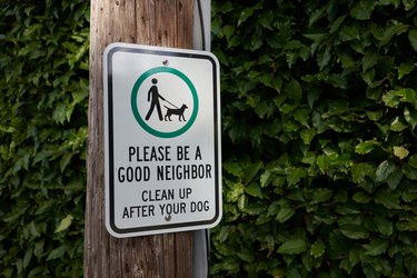 Clean Up After Your Dog Sign