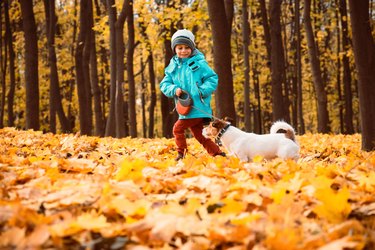 Kid boy walking and playing with dog on leash at outdoor autumn park