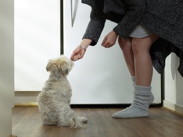 woman giving her dog a treat