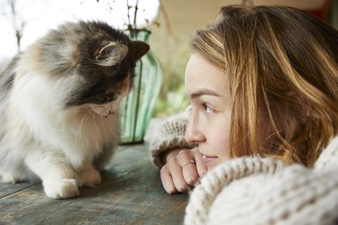 Young woman looking at Norwegian forest cat on wooden table outdoors