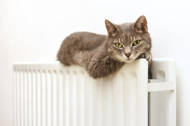 SLEEPY CAT ON COSY RADIATOR