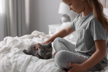 Cute little girl with kitten on bed at home. Childhood pet