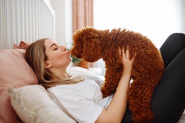 A woman is sitting up in bed with her dog resting on her knees. She is giving the dog a kiss on the nose.