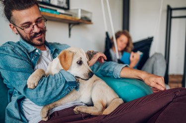 Man petting his adopted dog while sitting on the couch at home